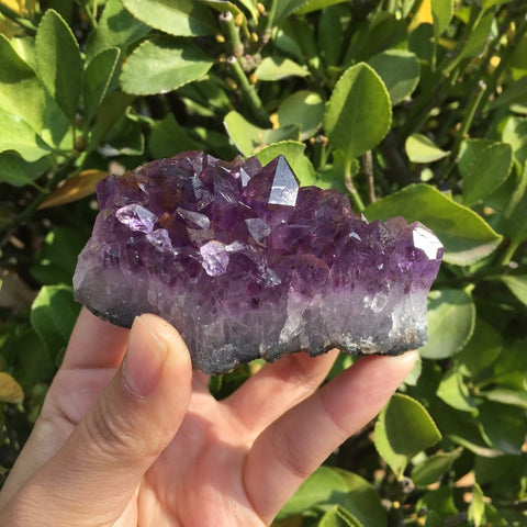 110-120g Natural Dream Amethyst Quartz Crystal Cluster Specimen Healing